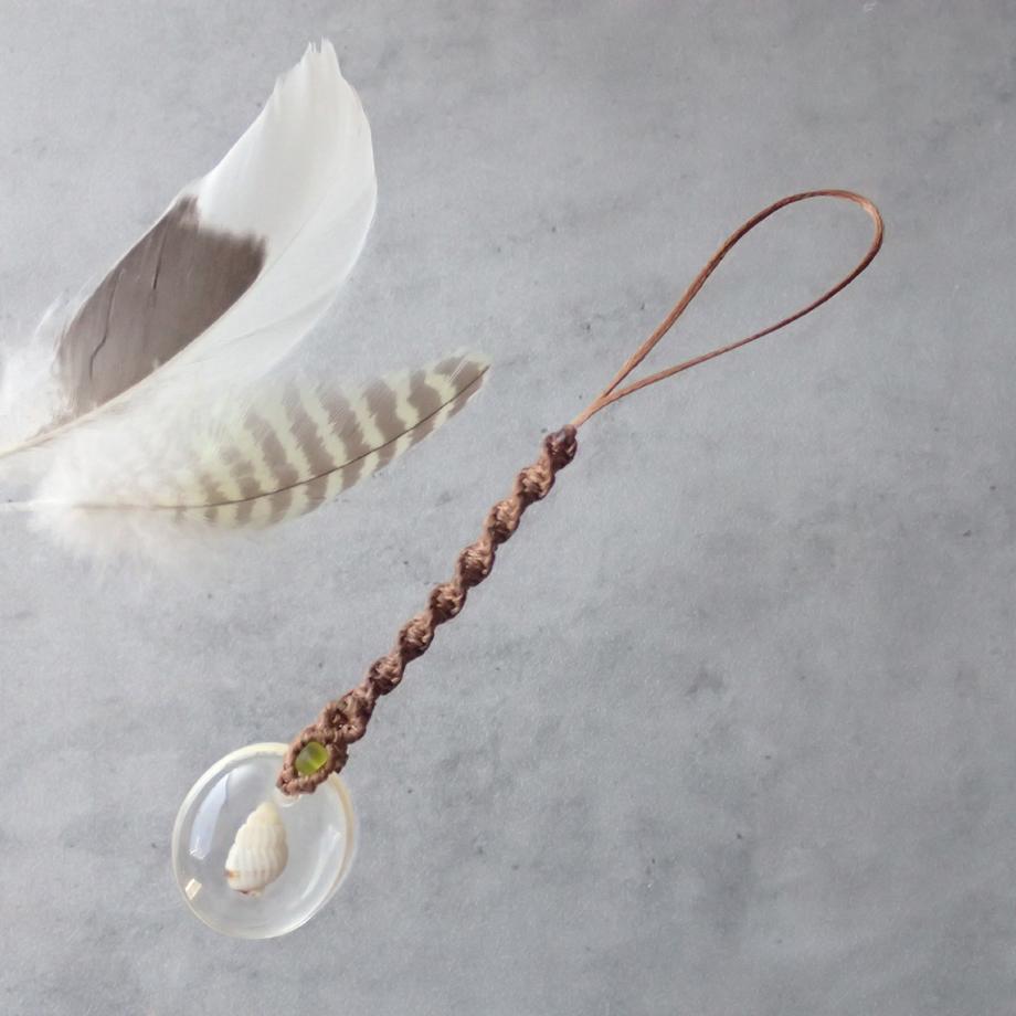 巻貝類樹脂封入標本ストラップ1枚目の画像