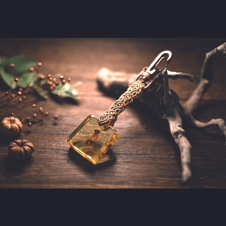 ヤゴ類樹脂封入標本キーホルダー | 7枚目