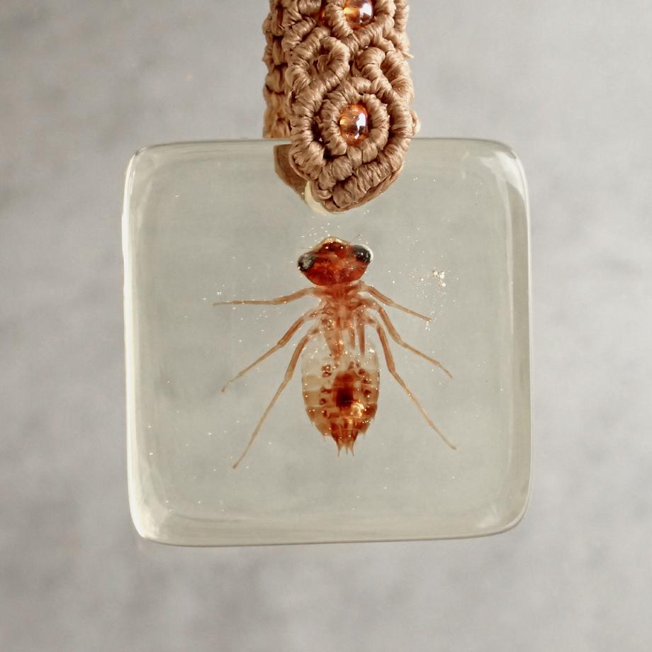 ヤゴ類樹脂封入標本キーホルダー | 2枚目