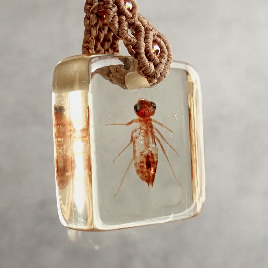 ヤゴ類樹脂封入標本キーホルダー | 3枚目