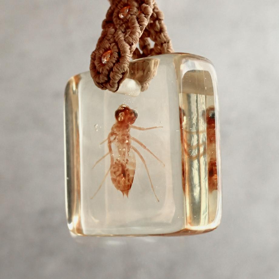 ヤゴ類樹脂封入標本キーホルダー | 4枚目