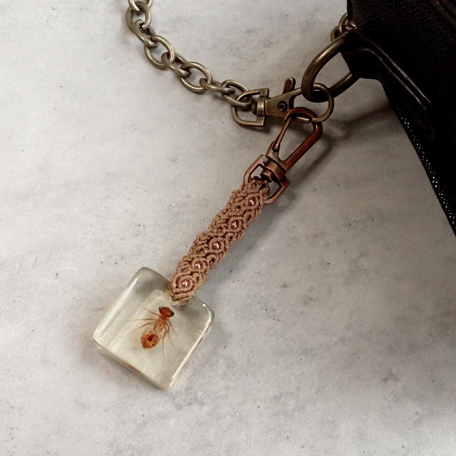 ヤゴ類樹脂封入標本キーホルダー | 6枚目