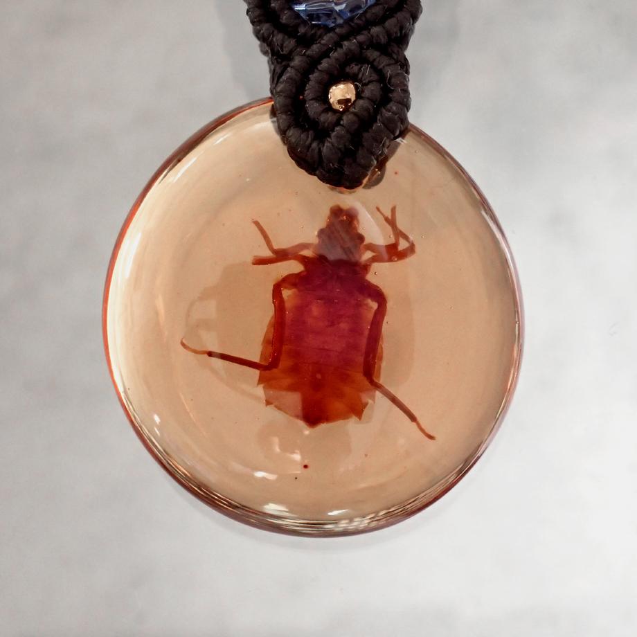 コオニヤンマ樹脂封入標本キーホルダー | 6枚目