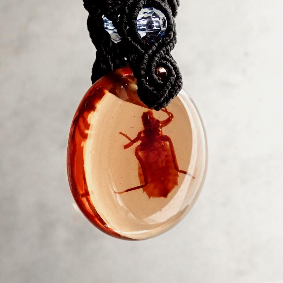 コオニヤンマ樹脂封入標本キーホルダー | 7枚目