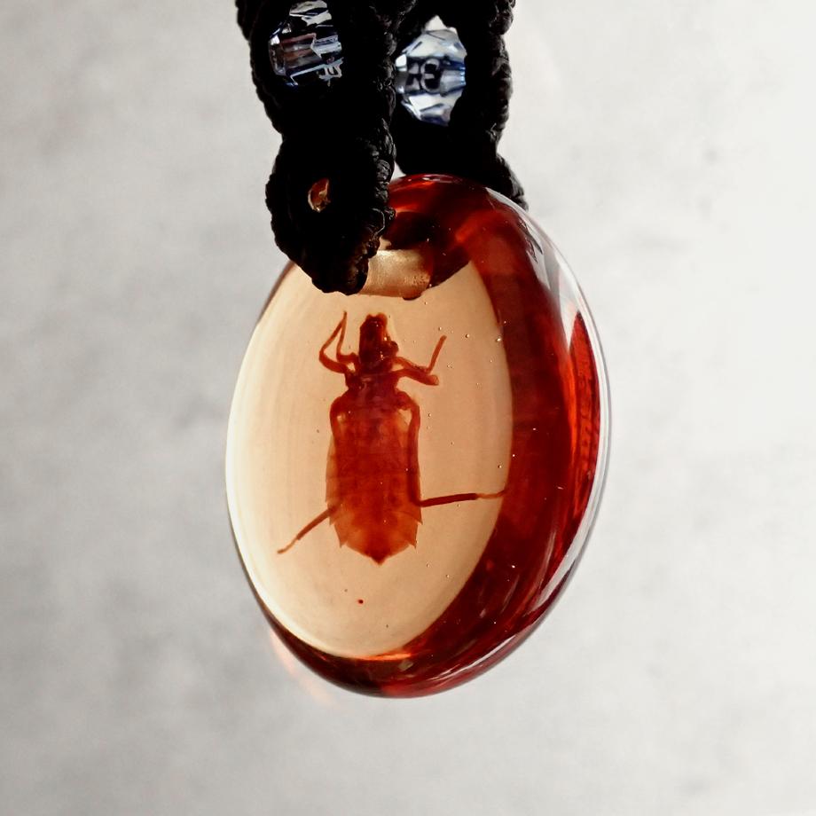 コオニヤンマ樹脂封入標本キーホルダー | 8枚目