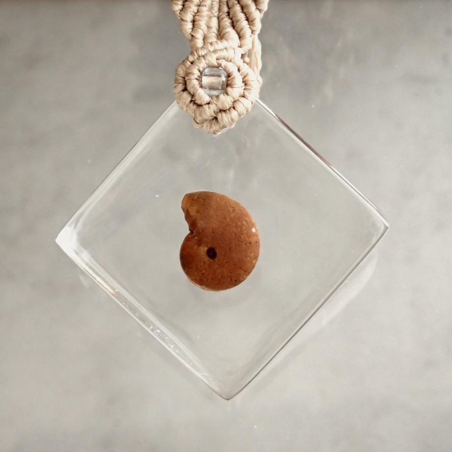 アンモナイト樹脂封入標本キーホルダー | 6枚目