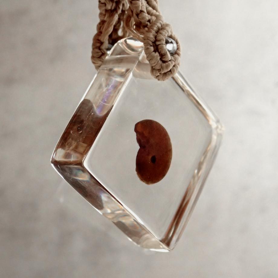 アンモナイト樹脂封入標本キーホルダー | 7枚目