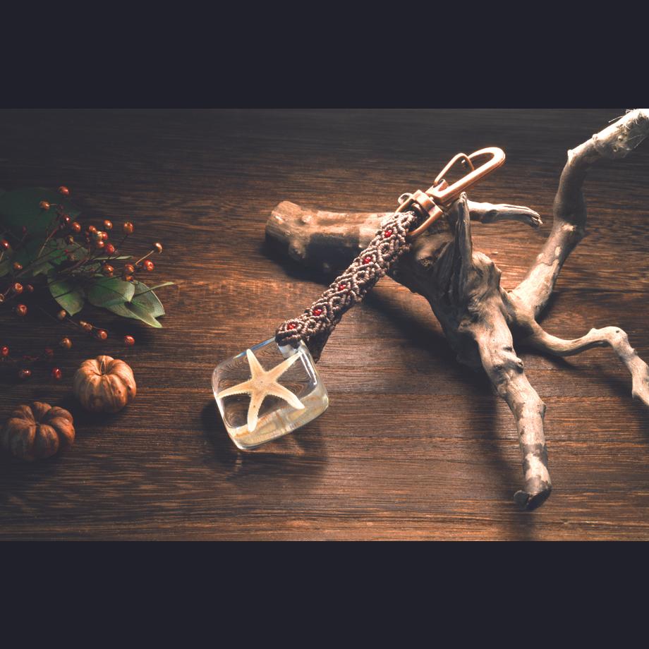 ヒトデ類樹脂封入標本キーホルダー | 7枚目