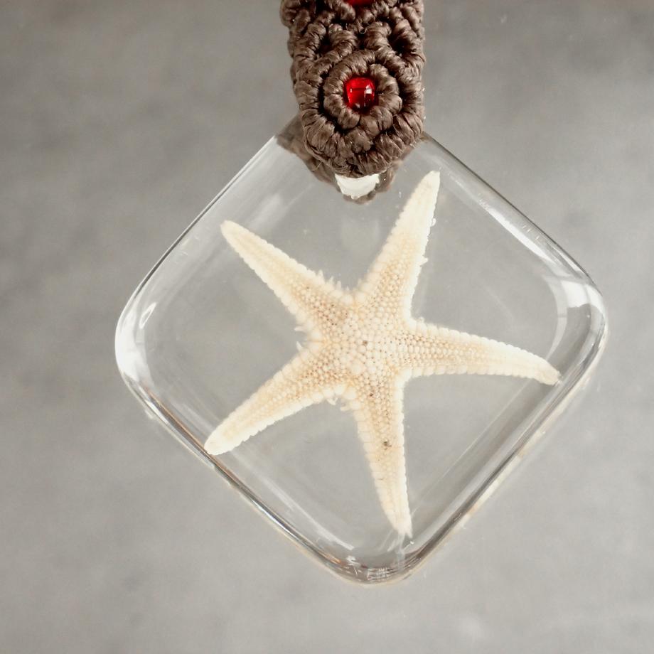 ヒトデ類樹脂封入標本キーホルダー | 2枚目
