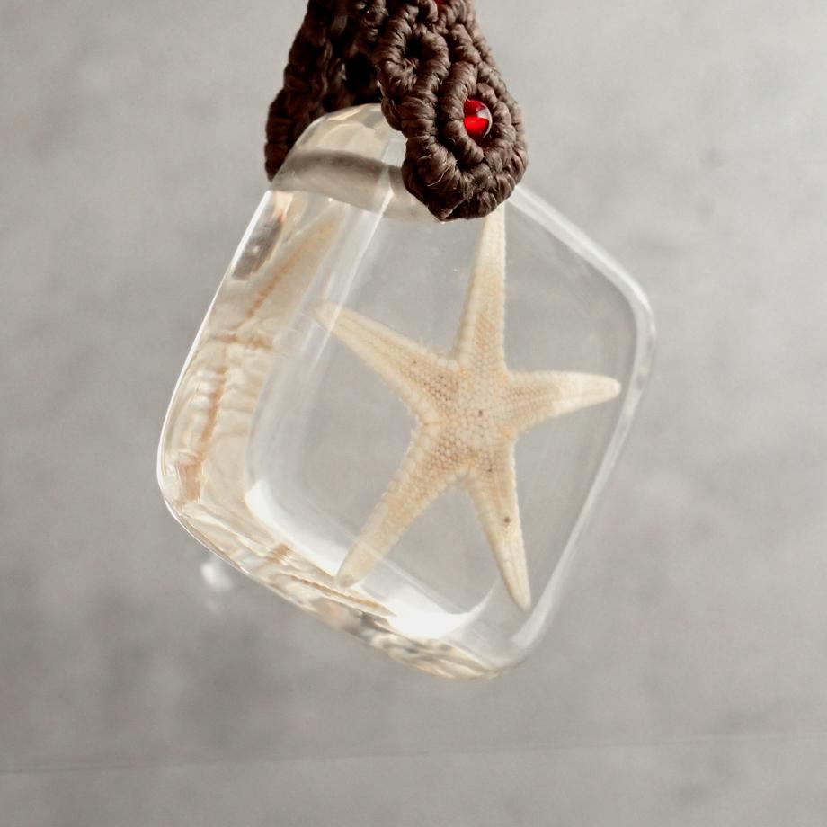 ヒトデ類樹脂封入標本キーホルダー | 3枚目