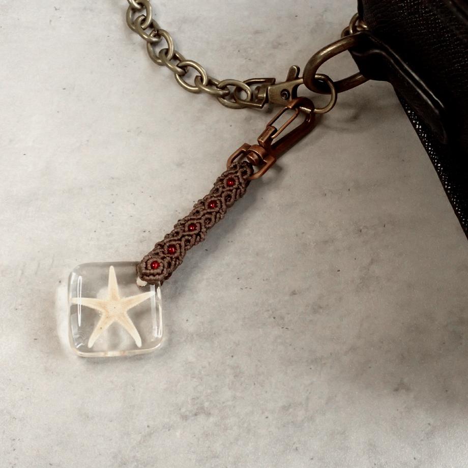 ヒトデ類樹脂封入標本キーホルダー | 6枚目