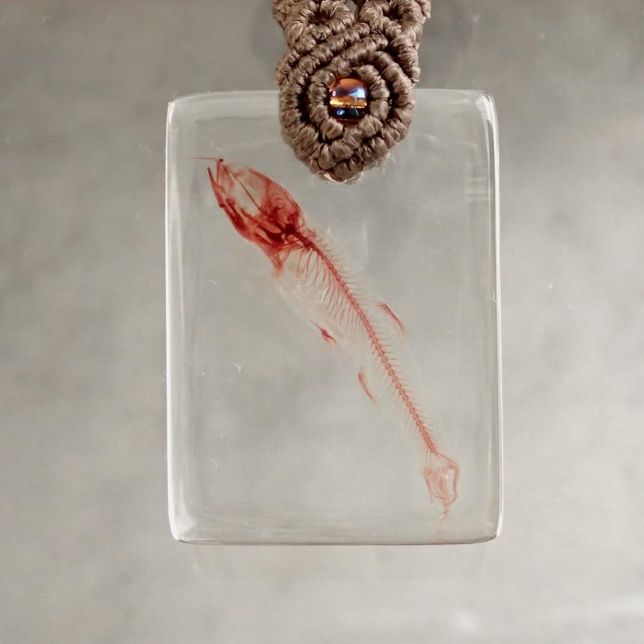 魚類単色染色樹脂封入標本キーホルダー | 6枚目