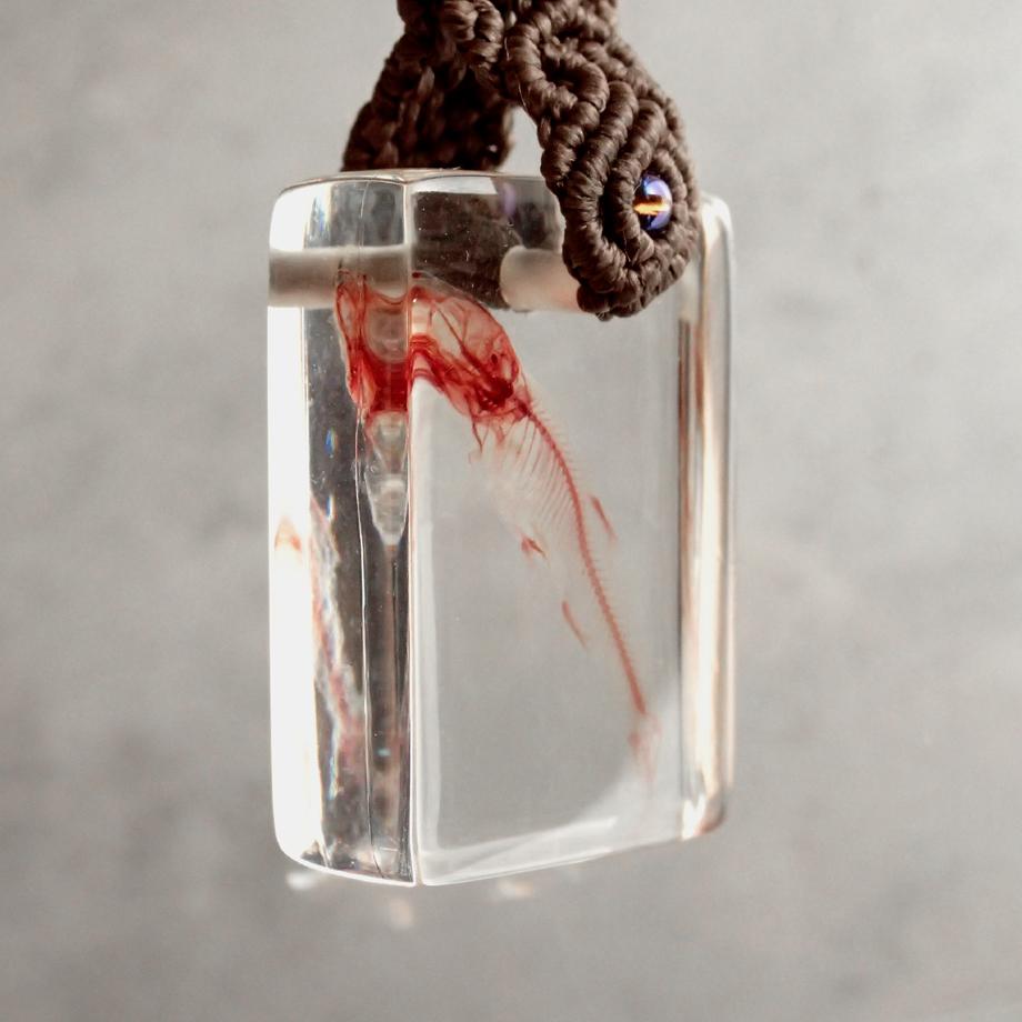 魚類単色染色樹脂封入標本キーホルダー | 7枚目