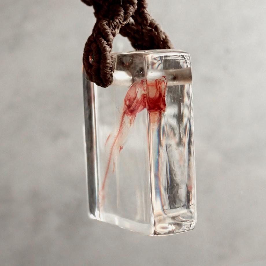 魚類単色染色樹脂封入標本キーホルダー | 8枚目